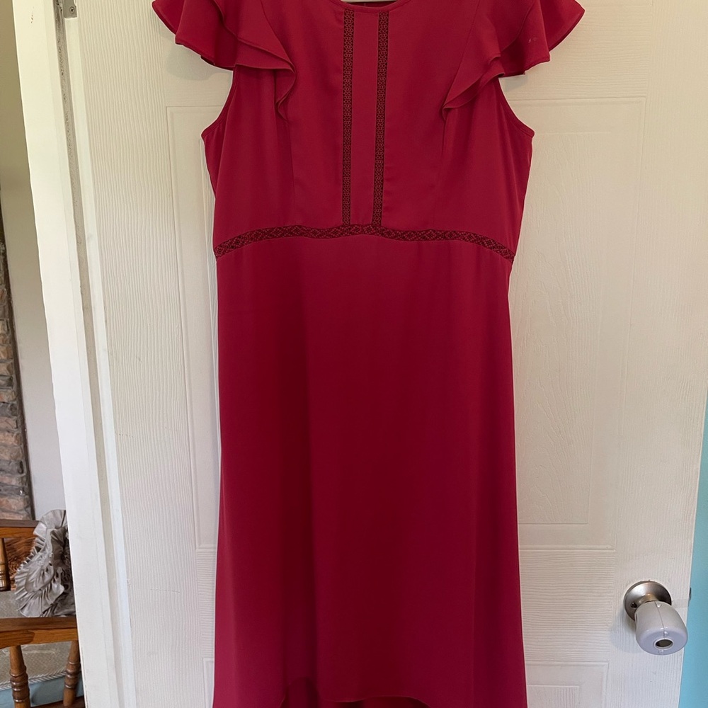 Elegant Cranberry Red Ruffle Sleeve Dress